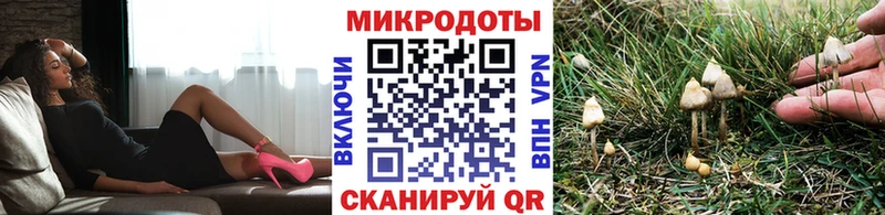 где купить наркоту  Тобольск  кракен зеркало  Галлюциногенные грибы мухоморы 
